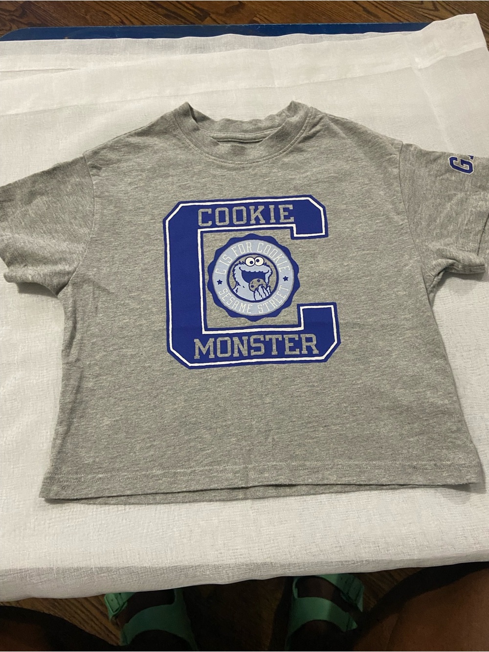 GAP Gray Kids T-Shirt with Blue Cookie Monster Graphic